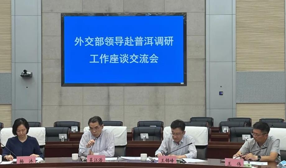 外交部部長助理吳江浩來滇調研_fororder_1