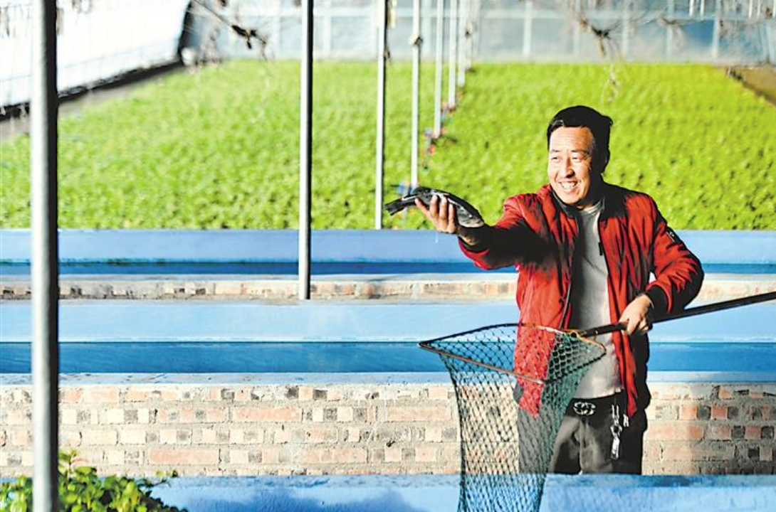 魚菜共生 助農致富_fororder_截屏2022-12-22 14.00.34