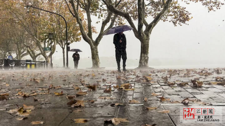 雷電暴雨突襲杭州 超強寒潮已在路上_fororder_1669638195288_6384a833159bb86fa990a7d7