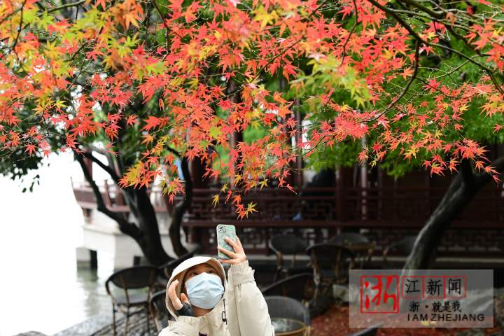 杭州：煙雨西湖“楓”景獨好_fororder_1670156120535_638c8f58159bb86fa99174a1