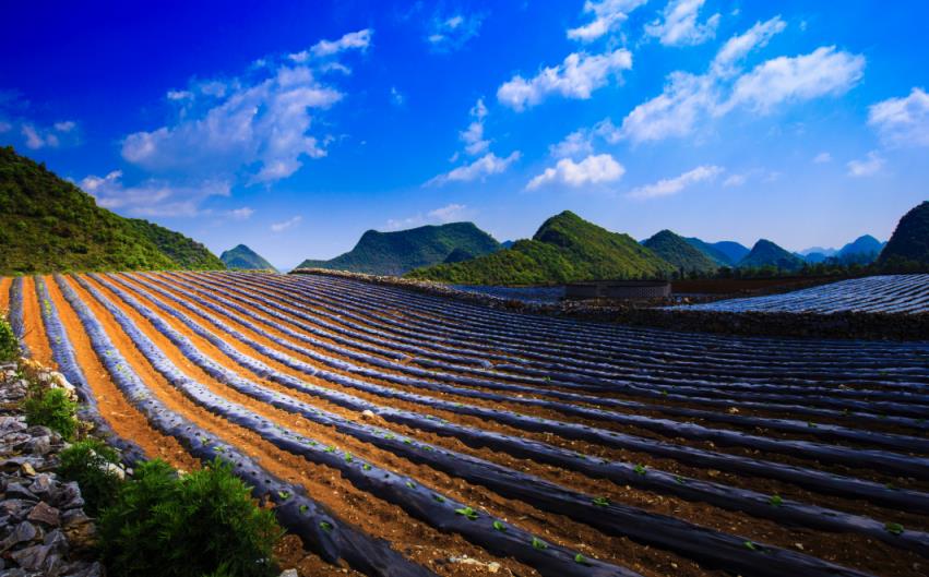 雲南平均森林覆蓋率超70% 生態文明示範創建量質雙升_fororder_4