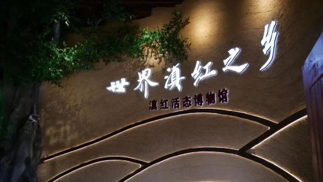 ​滇紅茶製作技藝申遺成功 實現臨滄世界非遺名錄零的突破
