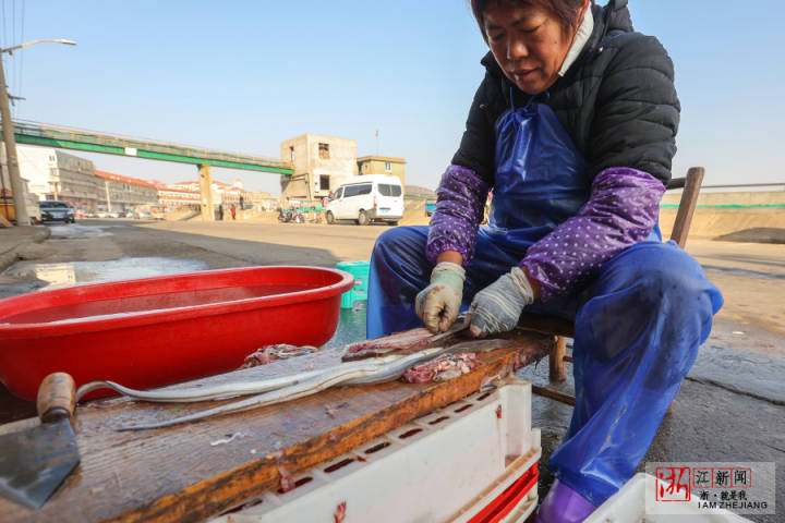 舟山：魚鲞飄香_fororder_1673262600511_63bbf608159bb80b995576cf