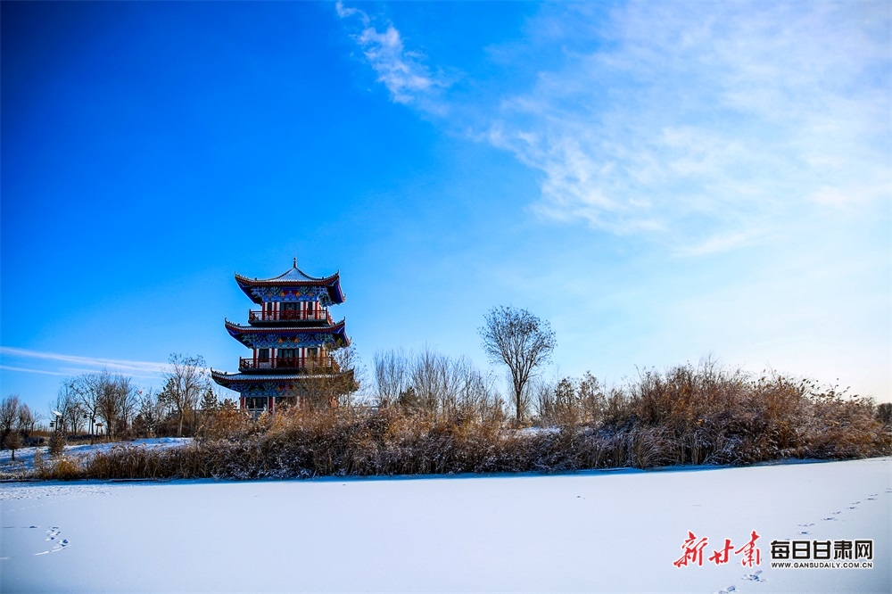 【輪播】酒泉：大地披銀裝 玉樹展瓊枝_fororder_8