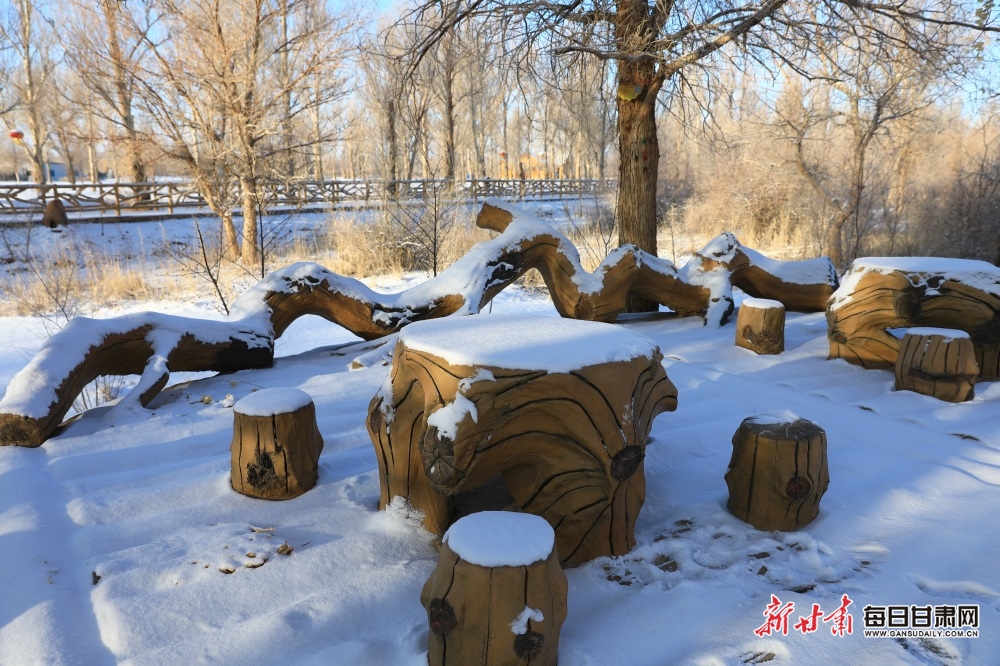 【輪播圖】邂逅金塔胡楊林雪景_fororder_2