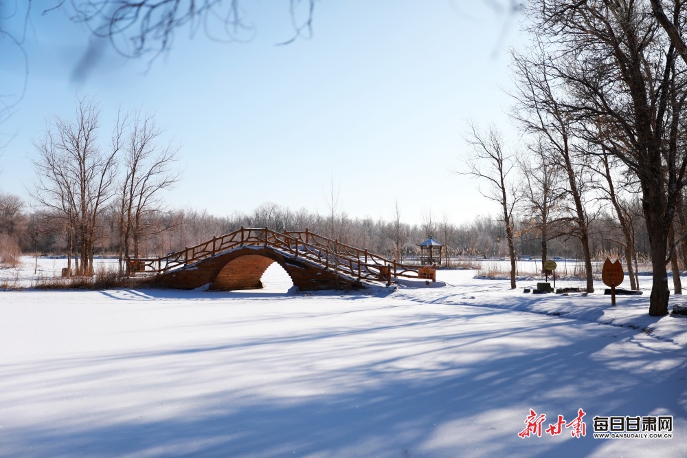 【輪播圖】邂逅金塔胡楊林雪景_fororder_7