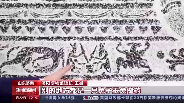 兔年尋“兔” 探訪博物館裏的兔寶貝