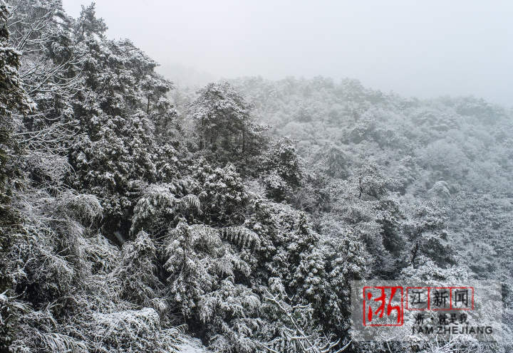 千島湖高山下雪了_fororder_1672283960973_63ad0738159bb80b99542c69