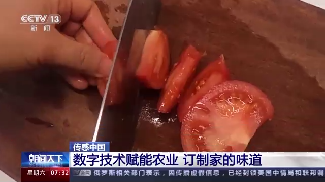 傳感中國丨五分甜一分酸 訂制家的味道