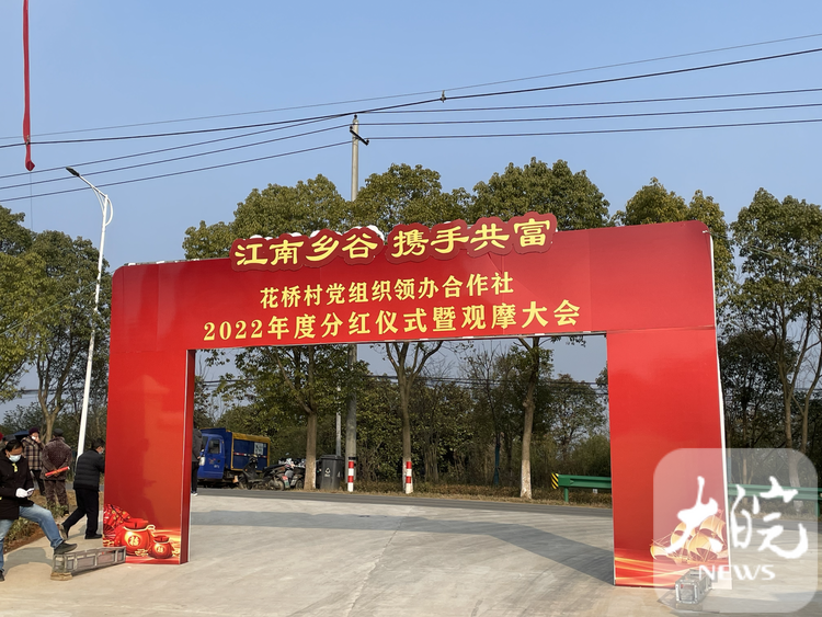 新春走基層｜蕪湖市灣沚區：黨組織領辦合作社為全體持股村民分紅