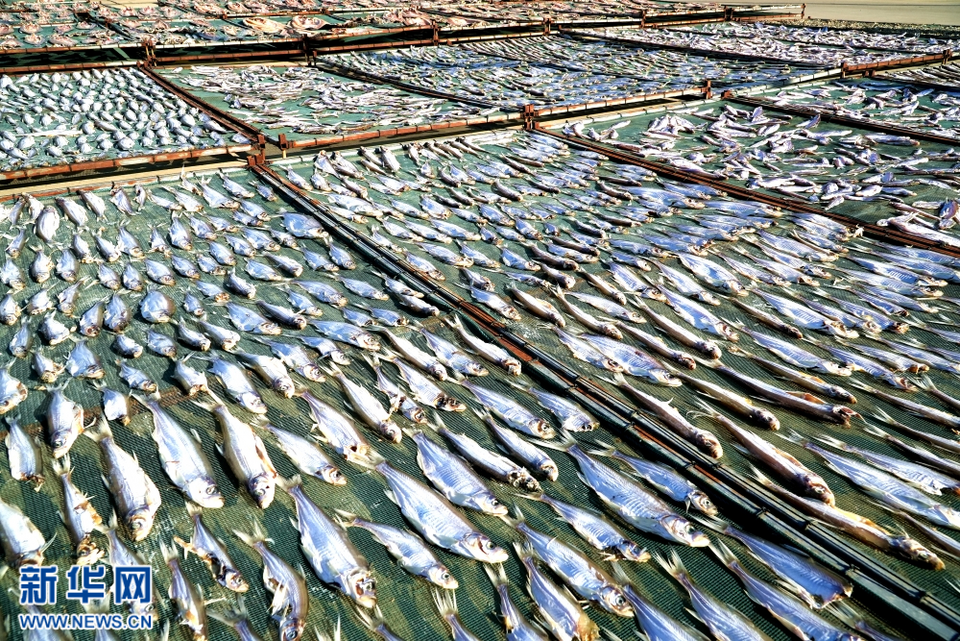 新春走基層|江蘇泗洪：魚幹飄香迎新年