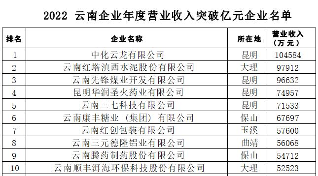 2022雲南企業100強_fororder_5