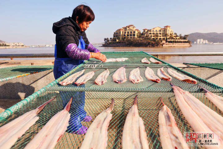 舟山：魚鲞飄香_fororder_1673262600349_63bbf608159bb80b995576c8