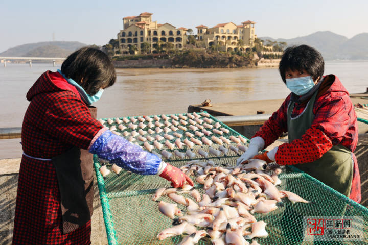 舟山：魚鲞飄香_fororder_1673262600638_63bbf608159bb80b995576d1