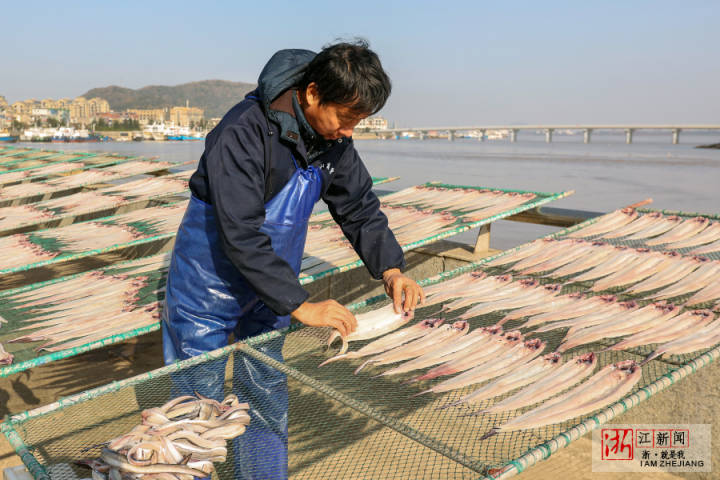 舟山：魚鲞飄香_fororder_1673262600532_63bbf608159bb80b995576d0