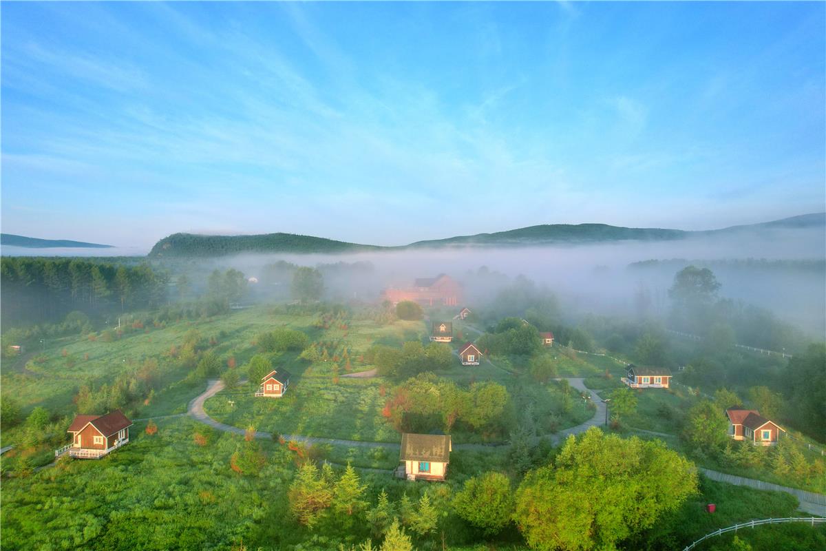 內蒙古根河：創建“自治區森林城市”_fororder_7