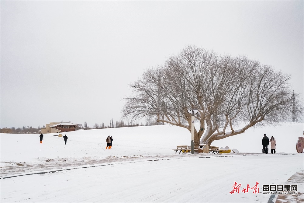 酒泉：瑞雪迎新春 敦煌景如畫_fororder_8