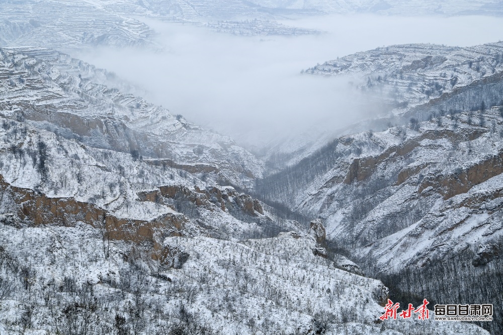 【輪播】瑞雪兆豐年 崇信雪景美_fororder_6666