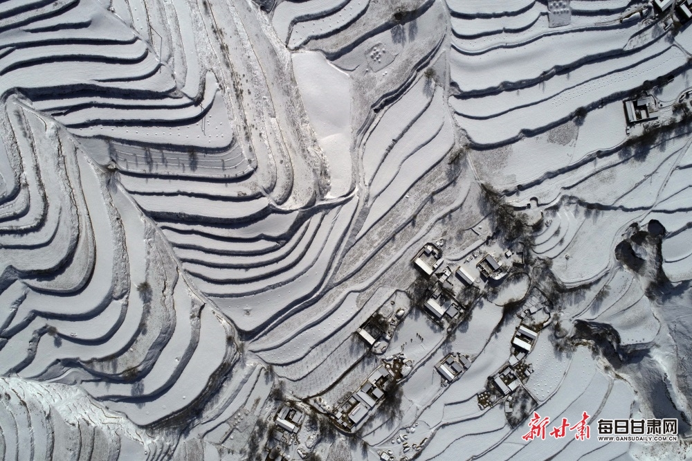 【輪播】雪後定西葛家岔鎮梯田宛若五線譜_fororder_9