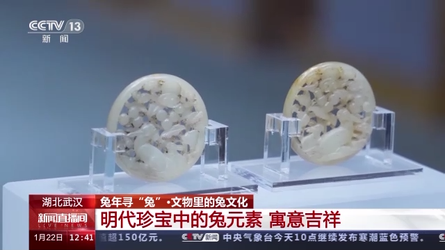 兔年尋“兔” 探訪博物館裏的兔寶貝