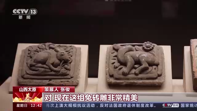 兔年尋“兔” 探訪博物館裏的兔寶貝