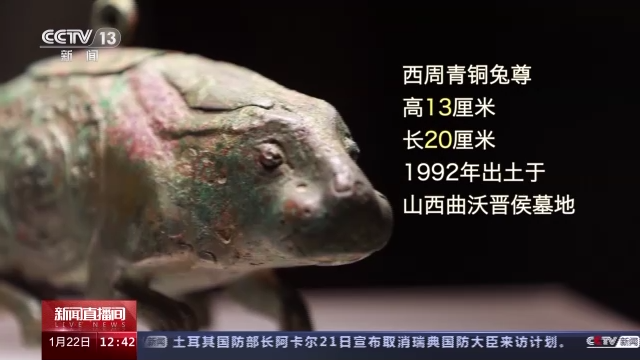 兔年尋“兔” 探訪博物館裏的兔寶貝