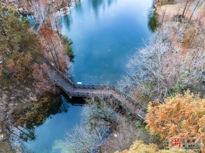鎮海：雪後水上森林淺披銀裝_fororder_1674545085256_63cf87bd159bb80b99571360