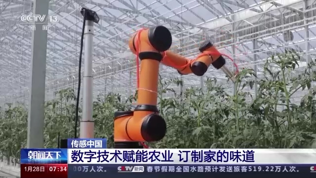 傳感中國丨五分甜一分酸 訂制家的味道