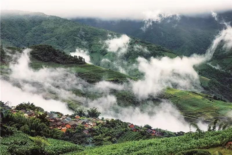 臨滄滄源：美景·佤山雲海_fororder_4