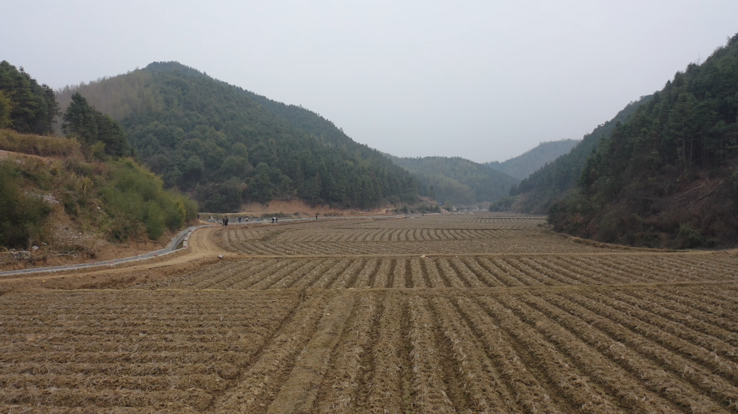 湖南嘉禾：高標準農田建設助力農業增産增收_fororder_1