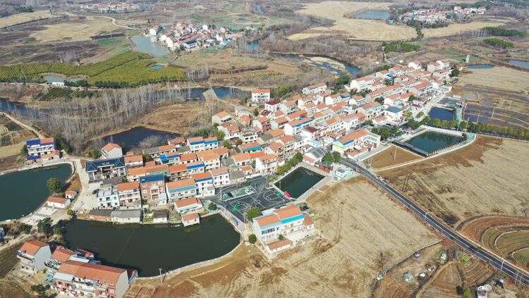 新春走基層|共建共享：李河村變了樣