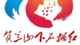 石嘴山市發佈鑄牢中華民族共同體意識示範市品牌標識