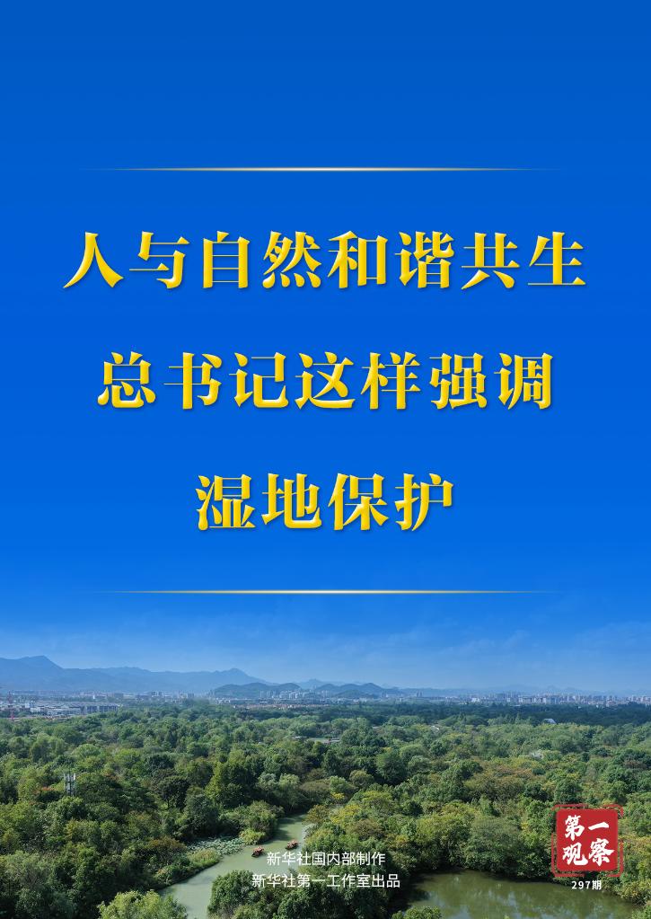 第一觀察丨人與自然和諧共生，總書記這樣強調濕地保護