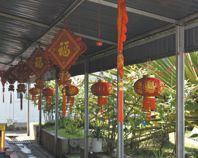 身在海外 同慶新春_fororder_2