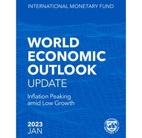 國際貨幣基金組織官網：_fororder_IMF