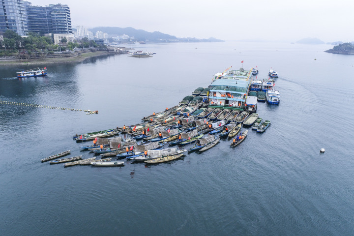千島湖：捕撈隊新春出港了_fororder_1677650438297_63feea061ec0ac000122a639