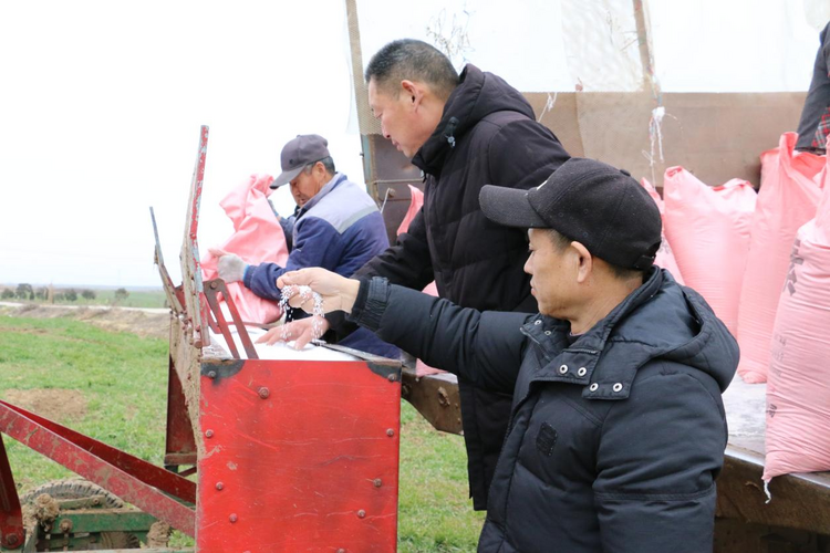 蚌埠五河：人勤春來早，田管正當時_fororder_圖片1