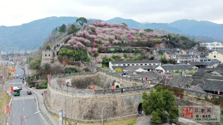 臨海：古城墻邊梅花綻放春意濃_fororder_1675838700384_63e344ec159bb80b9958b824