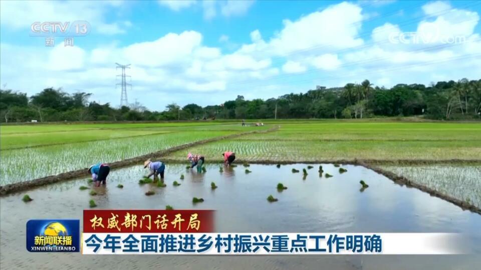 【權威部門話開局】今年全面推進鄉村振興重點工作明確