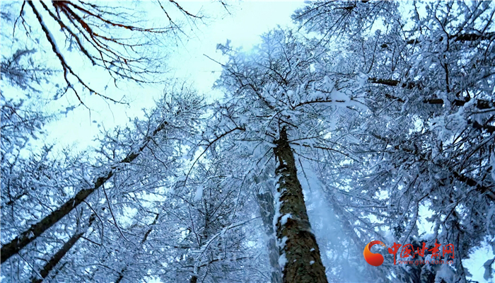 【平涼】平涼華亭：關山雪景勾勒水墨世界_fororder_66