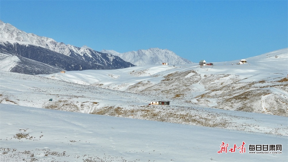 【輪播】武威肅南祁連山：牧群點點山巒間 群峰披銀滿目景_fororder_3