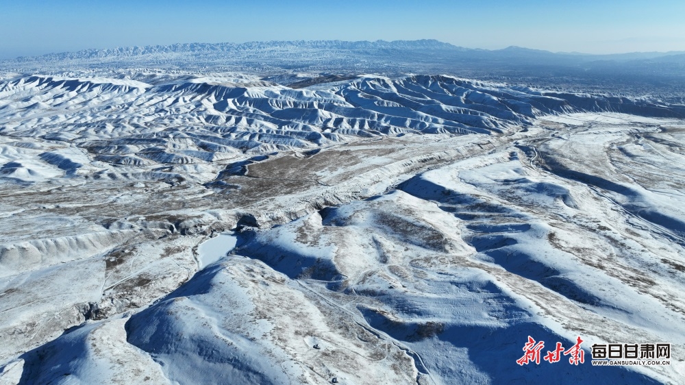 【輪播】武威肅南祁連山：牧群點點山巒間 群峰披銀滿目景_fororder_4