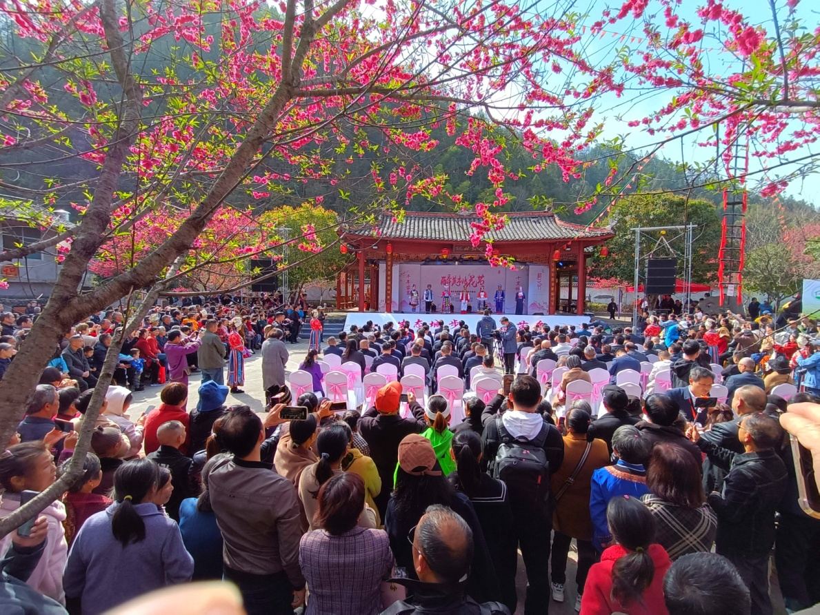 湖南城步“醉美桃花節”火出圈 “美麗經濟”促進鄉村振興_fororder_圖片3