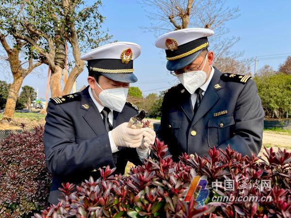 今年前2個月寧波外貿進出口總額1866億元 全國排名上升至第5位_fororder_00300884326_85866a8a