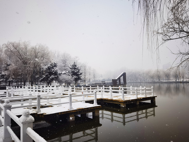 Donghuan-Park in Shijiazhuang bietet eine malerische Schneelandschaft_fororder_圖片17