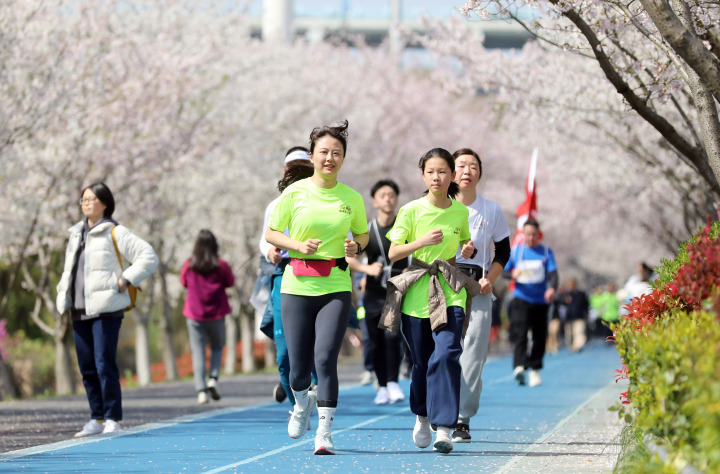 杭州浪漫“櫻花跑”開跑 一路奔向“大蓮花”_fororder_1679803118057_641fc2eefc222e00010d7dfd