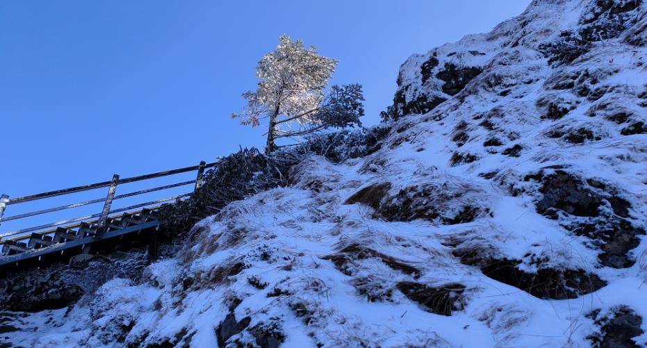 昆明祿勸轎子雪山喜迎“南國春雪”_fororder_3