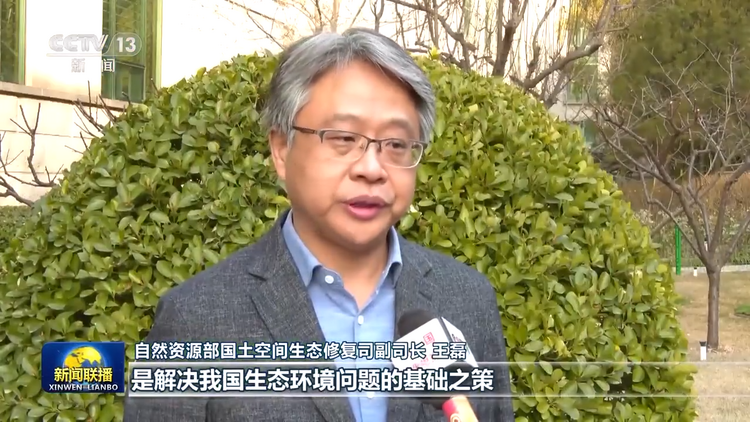 新思想引領新征程丨加強生態保護修復 厚植美麗中國根基