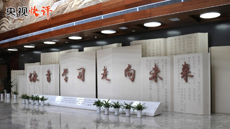 【央視快評】堅持理論學習、調查研究、推動發展、檢視整改一體推進