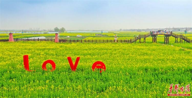 2023年岳陽國際旅遊節暨第五屆江南油菜花節開幕
